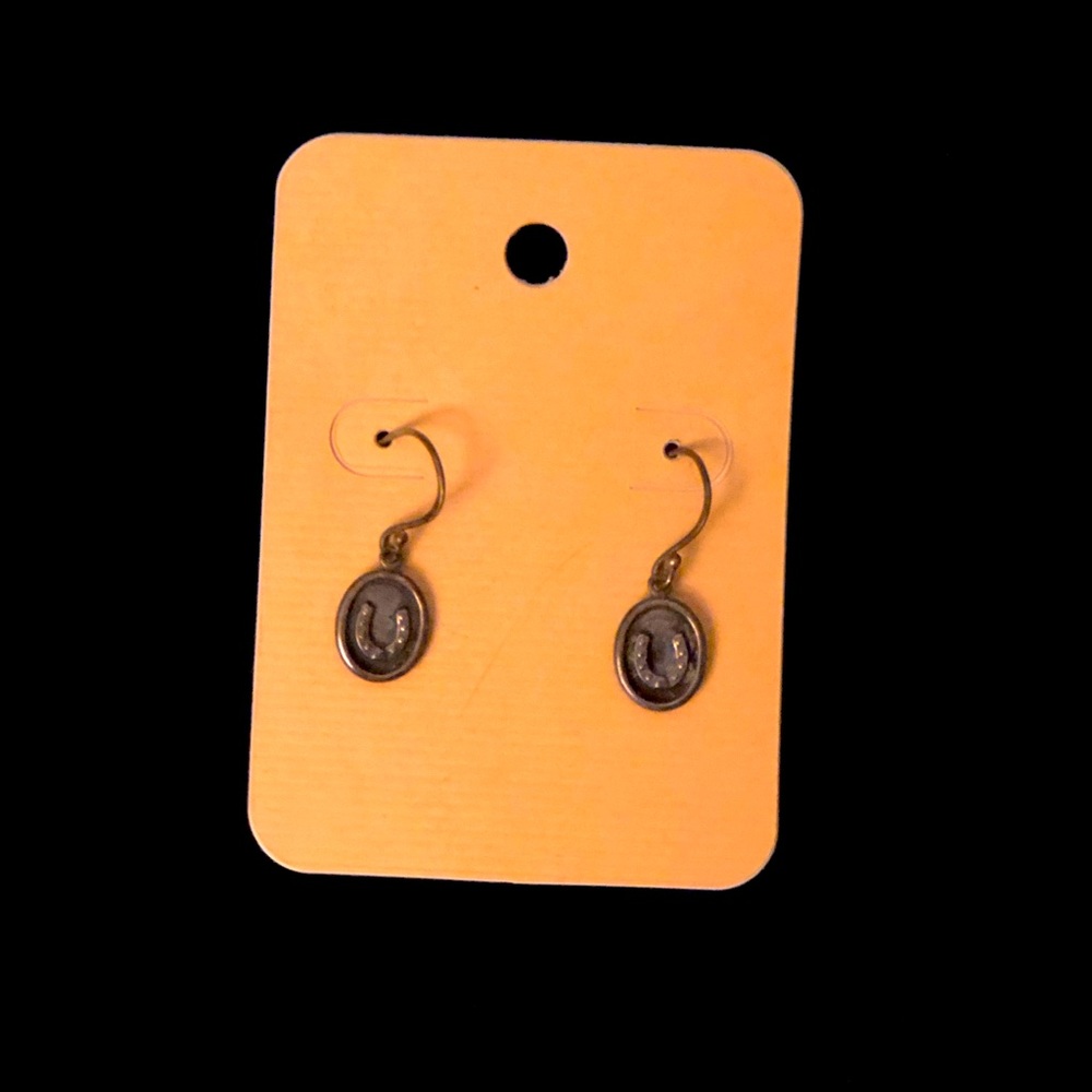 Horse shoe dangle pierced earrings